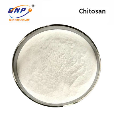 Biały proszek chitozanowy Chityna o niskiej masie cząsteczkowej Nano Partical