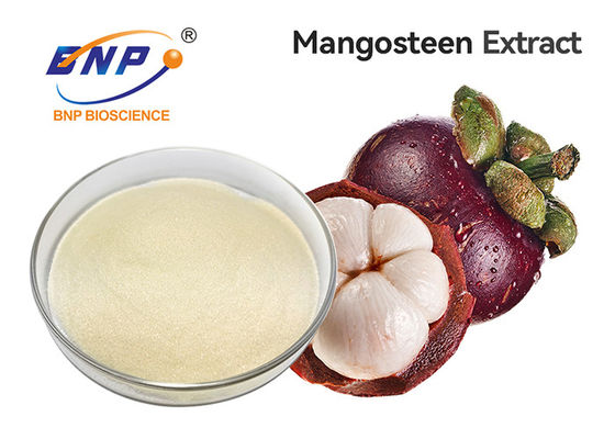 100% Naturalny dodatek do owoców i warzyw w proszku 30% Wyciąg z polifenoli Garcinia Mangostana