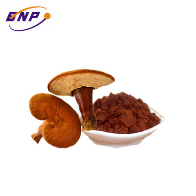 Dostarcz naturalny ekstrakt z grzybów brazylijskich w proszku polisacharyd 10% -50%