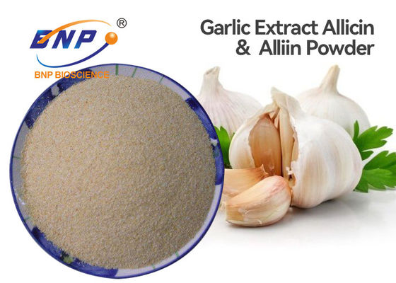 Antybiotyk Food Grade Allium Sativum Extract Biały proszek Marka BNP