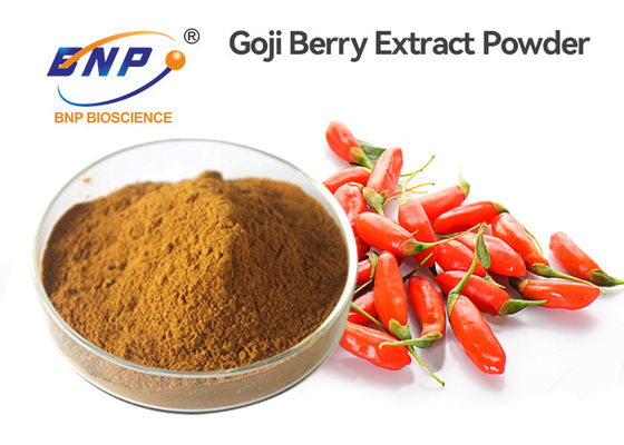 Brown Organic Goji Berry Powder 25% Polisacharyd Wolfberry Lycium Barbarum
