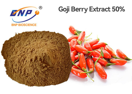 Lycium Berry Wolfberry Extract Powder 80 Mesh 50% Polisacharyd