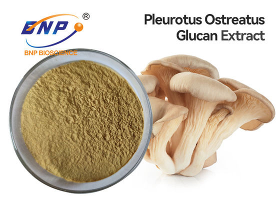 Suplement ekstraktu z grzybów ostrygowych Pleurotus Ostreatus Polisacharyd 10%