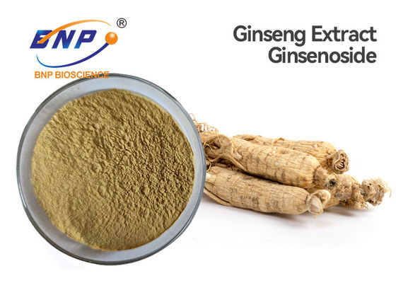 Ginsenoside 80% Naturalne ekstrakty roślinne Brązowy ekstrakt z żeń-szenia w proszku