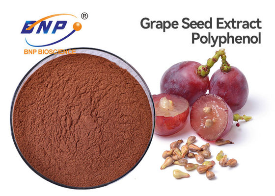 Suplement ekstraktu z pestek winogron przeciwutleniacz Polifenol 70%
