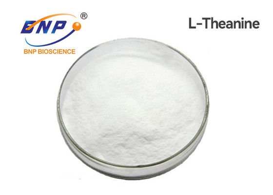 Odchudzanie Nutraceuticals Suplementy 99% czystości L Teanina w proszku