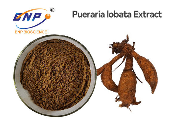 Naturalne ekstrakty roślinne z korzenia kudzu Izoflawony 40% brązowo-żółty proszek Pueraria Lobata