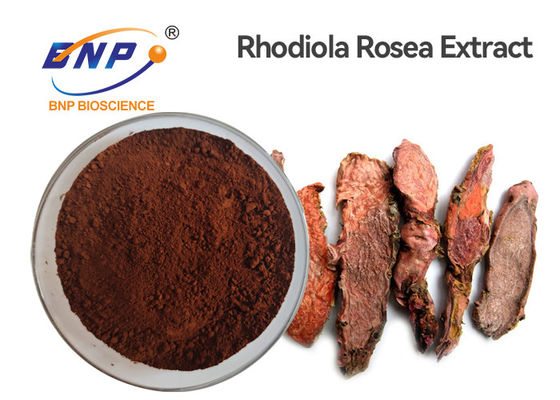 Przeciwzmarszczkowy proszek z korzenia Rhodiola Rosea Ekstrakt z Rhodiola Crenulata 3%