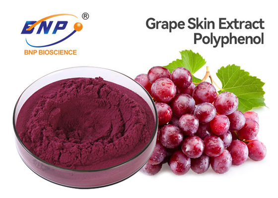 20% ekstrakt z polifenolu z czerwonych winogron Vitis Vinifera Sambucus Nigra L.