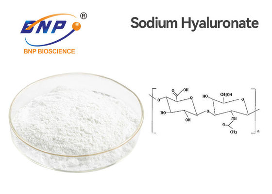 CAS 9004-61-9 Proszek kwasu hialuronowego 95% hialuronian sodu