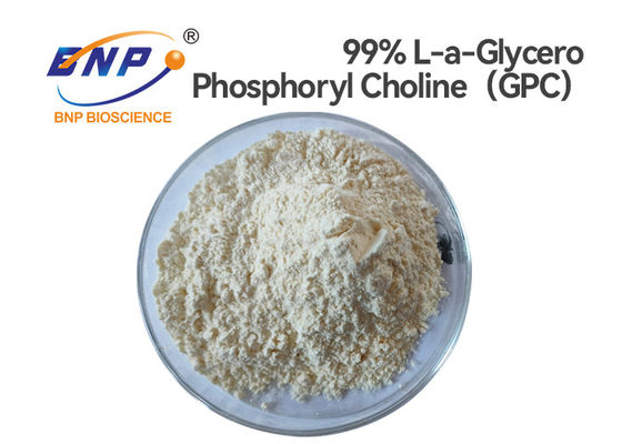 Nr CAS 28319-77-9 Alpha Gpc Powder 99% L Alpha Glycerylphosphorylcholine
