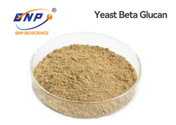 Naturalne składniki odżywcze Jasnożółte drożdże Beta glukan 80% Polisacharydy Proszek GMP