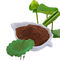 Nucyferyna odchudzająca 2%, 98% ekstrakt z liści lotosu z BNP