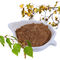 Czysty naturalny ekstrakt z kory brzozy Betulina Ekstrakt z kory brzozy