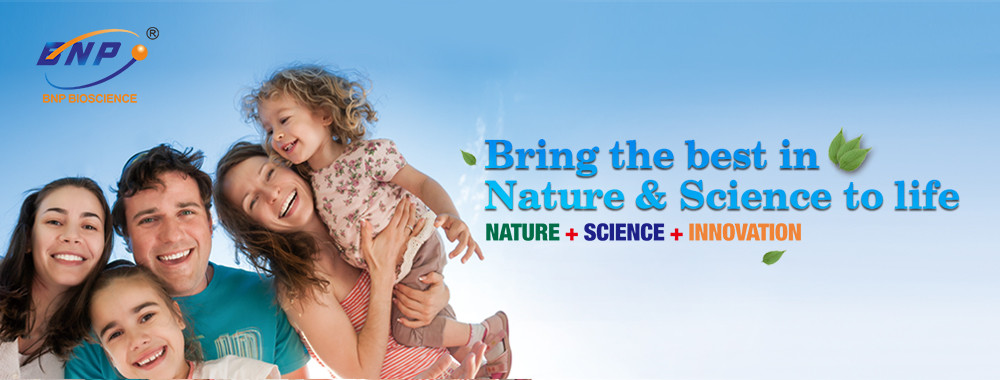 jakość Naturalne ekstrakty roślinne fabryka