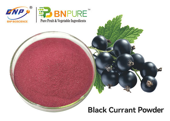Fioletowy czerwony sok z czarnej porzeczki w proszku Food Grade Ribes Nigrum Fruit Extract