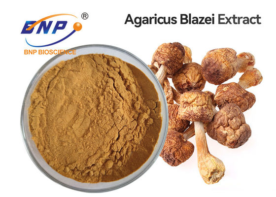 Suplement zdrowotny Wyciąg z grzybów w proszku Organiczny Agaricus Blazei Murill