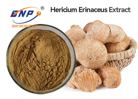Brązowy ekstrakt z grzyba Hericium Erinaceus w proszku Surowiec