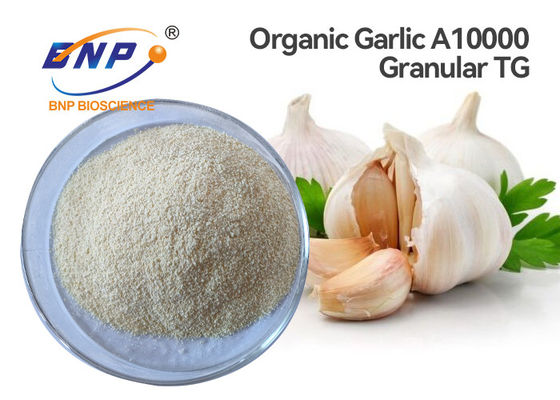 1% allicin organiczny ekstrakt z czosnku A10000 granulowany Allium Sativum L.