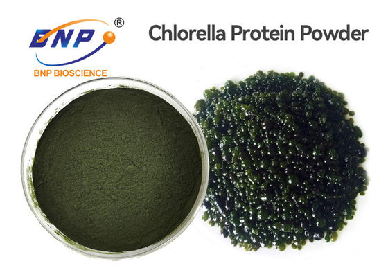 Naturalne ekstrakty roślinne klasy spożywczej Proszek GMP Chlorella Vulgaris