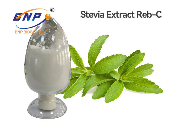 Biały ekstrakt z liści stewii w proszku RD 95% HPLC Testowe dodatki do żywności