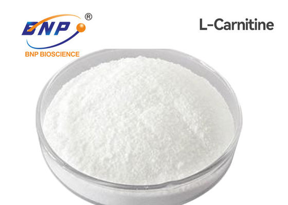 USP Nutraceuticals Suplementy Levocarnitine L Carnitine Powder