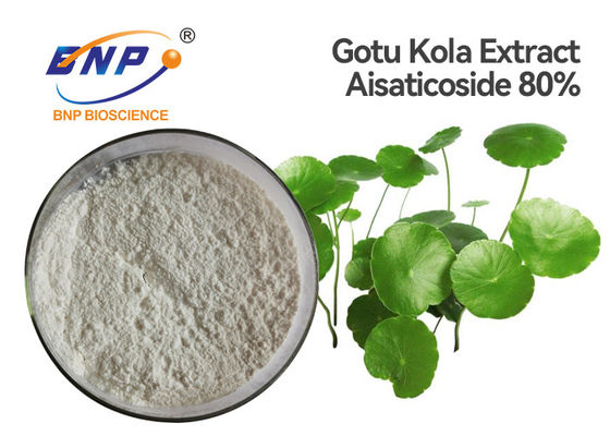 Asiaticoside 80% ekstrakt z Centella Asiatica do skóry w proszku z białego ekstraktu Gotu Kola