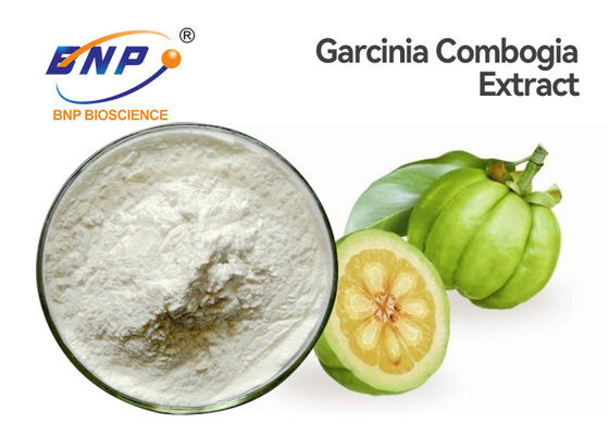 Biały drobny proszek Naturalne ekstrakty roślinne Kwas hydroksycytrynowy 50% 60% ekstrakt Garcinia Cambogia