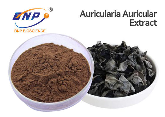 100% naturalny ekstrakt z grzybów w proszku Ucho Żyda Auricularia Auricula