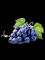 Ekstrakt z suszonych pestek winogron Vitis Vinifera Proantocyjanidyny 95%