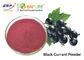 Fioletowy czerwony sok z czarnej porzeczki w proszku Food Grade Ribes Nigrum Fruit Extract