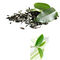 Ekstrakt z zielonej herbaty Polifenole z herbaty 20% -98% Brązowy, biały proszek