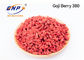 Suszony słodki smak Goji Berry Extract BNP Chinese Wolfberry Powder