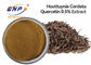 Wysokiej jakości ekstrakt z Houttuynia Cordata w proszku Herba Houttuyniae Extract Quercetin