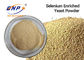 ISO Nutraceuticals Suplementy Drobny proszek drożdżowy wzbogacony w selen
