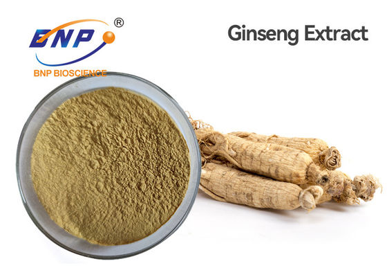 Panax Ginseng Ca Meyer Naturalne ekstrakty roślinne Ginsenoside 5%