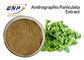 Ekstrakt przeciwwirusowy Andrographis Paniculata w proszku 50% Andrografolid HPLC
