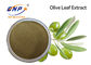 HPLC Brązowo-żółte naturalne ekstrakty roślinne Oleuropeina 60% ekstrakt z liści oliwnych w proszku