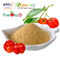 Przemysł farmaceutyczny Acerola Cherry Powder Vintamin C 10% Certyfikat GMP